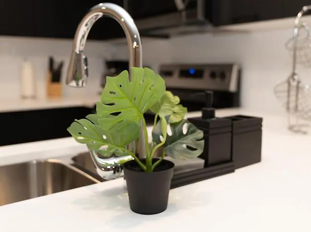 Goodvibes Apartment Calgary